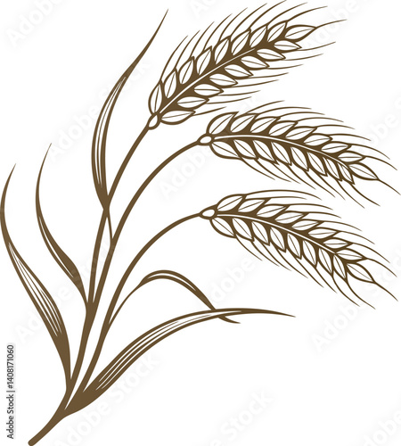 Golden Wheat Ears Harvest Decorative Element  On A Transparent Base