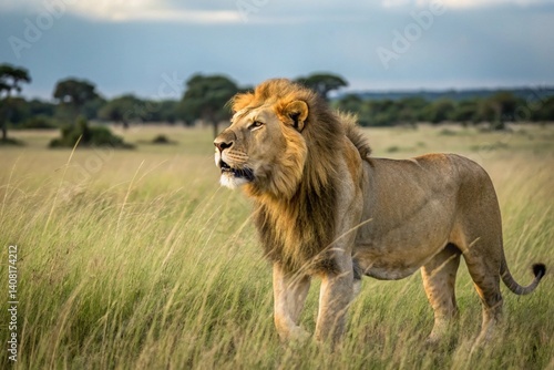 Wallpaper Mural lion prompts image Torontodigital.ca