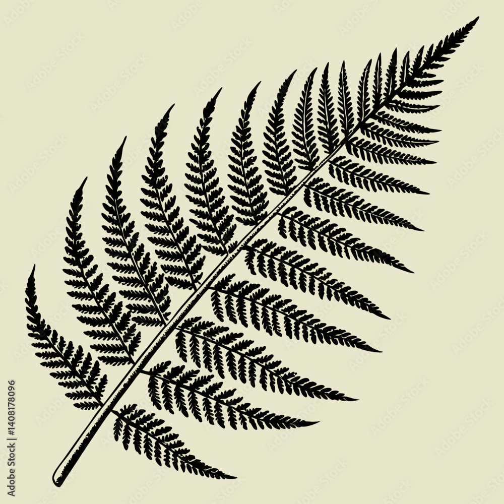 Naklejka premium fern leaf isolated on black