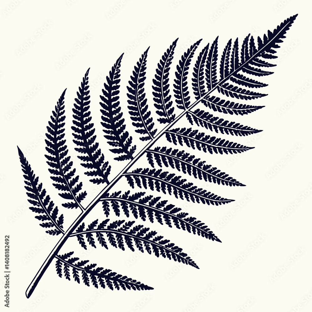 Naklejka premium fern leaf isolated on black vector