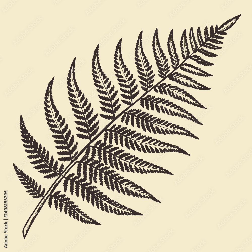 Naklejka premium fern leaf isolated on black vector