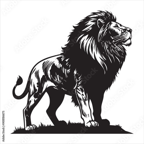  Lion vector.