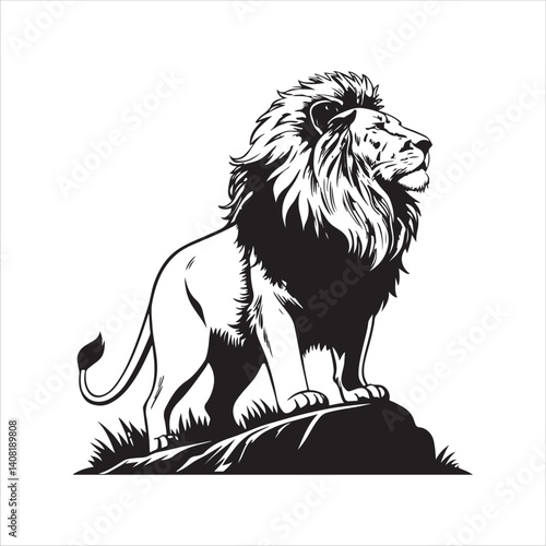  Lion vector.