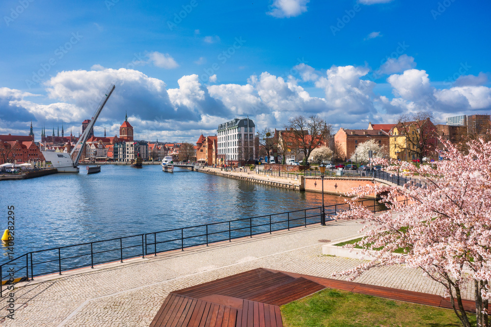 Spring flowers blooming on the trees over the Motlawa river in Gdansk. Poland