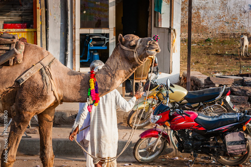 Tablou pe pânză Two modes of transportion in India, the camel and the motorcycle