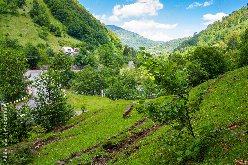 rural landscape of carpathian mountains in summer. afternoon weather. countryside scenery with steep forested slopes. road winding through village among green rolling hills