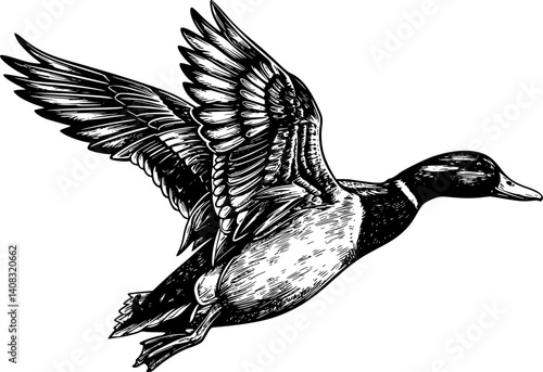 Silhouette of a duck in flight with detailed wings and feathers, black on white background.
