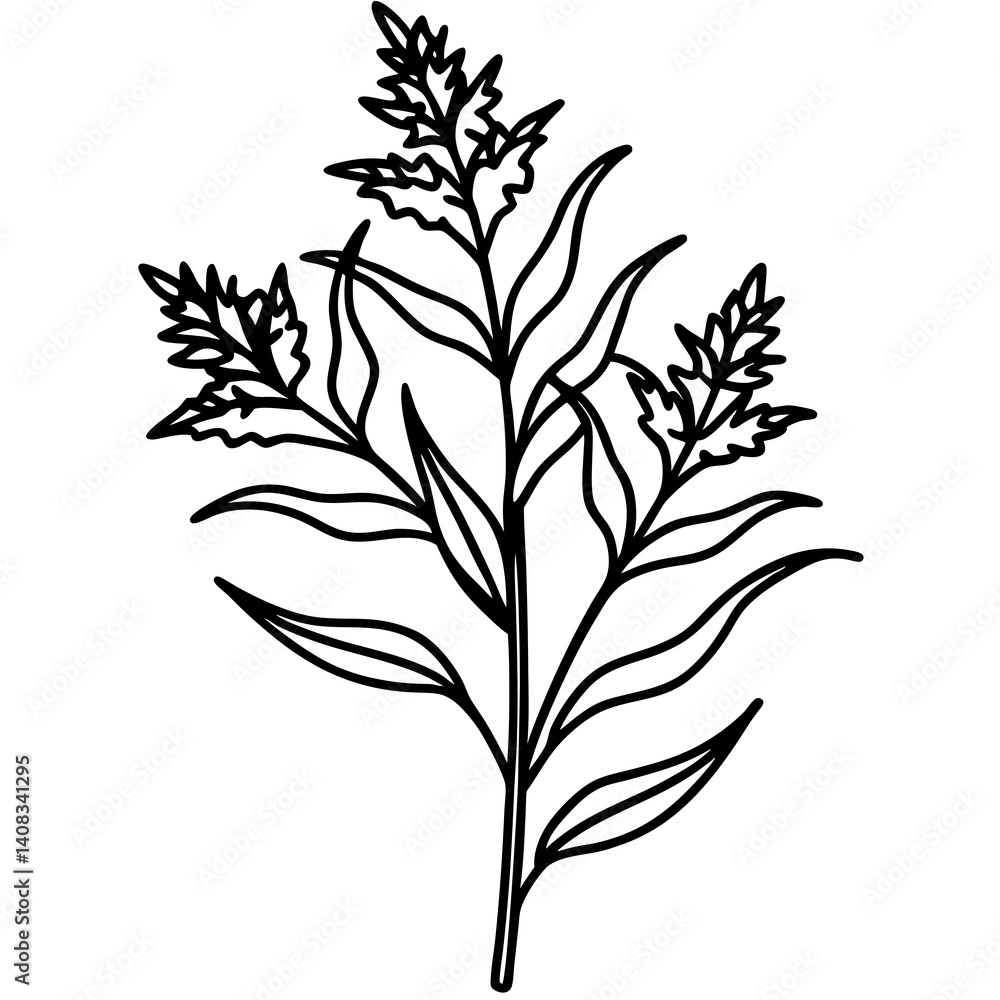 Fototapeta premium Minimal Goldenrod Flower Vector Illustration on White Background