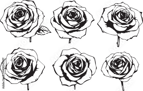 Wallpaper Mural Set of rose flowers. Hand drawn vector illustration	 Torontodigital.ca