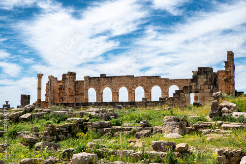 Remains in Volubilis, the best preserved Roman ruins in Africa located in Morocco