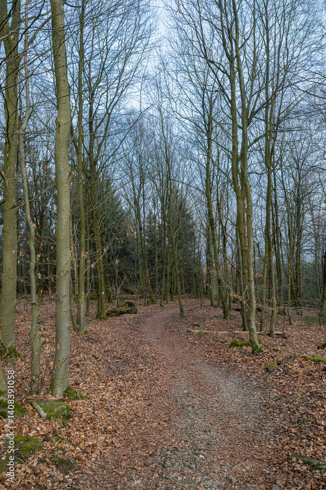 Trail to the Hermannsdenkmal in Germany