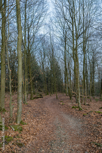 Obraz na płótnie Trail to the Hermannsdenkmal in Germany w salonie