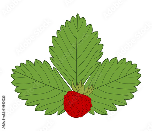 Red wild strawberry berry on green leaf background