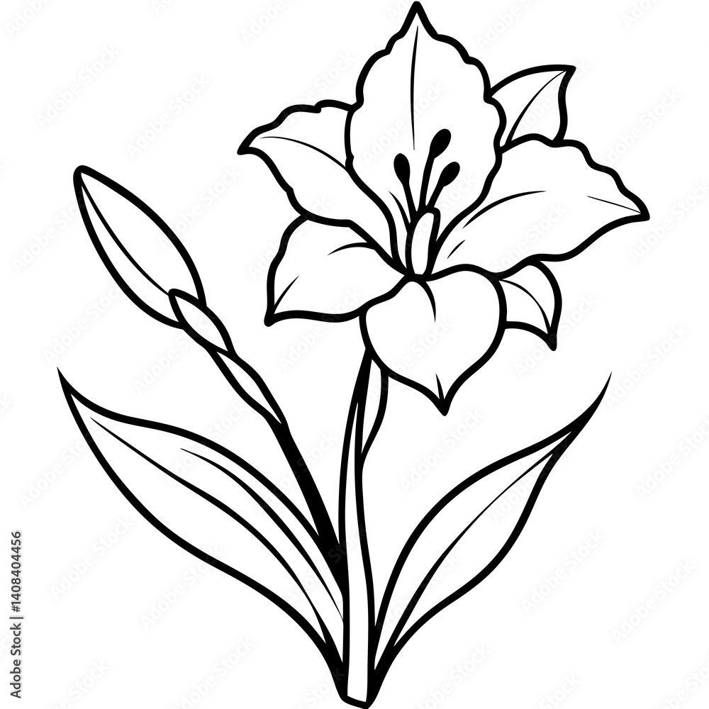 Minimal Gladiolus Flower Vector Illustration on White Background Minimal Gladiolus Flower Vector Illustration on White Background
