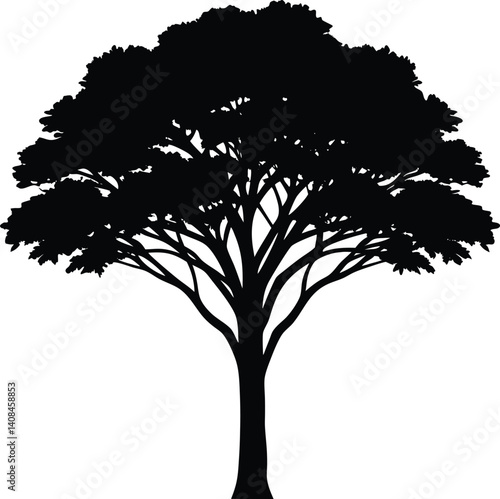acacia tree silhouette, tree png