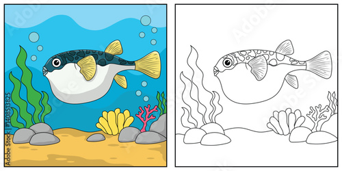 Fugu Fish coloring pages for kids. Painting for kindergarden and elementary school children. children's activity sheet. cute Illustration to color.