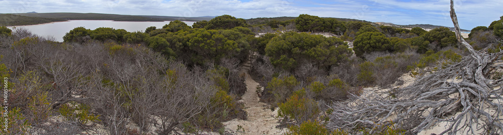 Hiking track to Hamersley Inlet in Fitzgerald River National Park, Western Australia, Australia
Hiking track to Hamersley Inlet in Fitzgerald River National Park, Western Australia, Australia