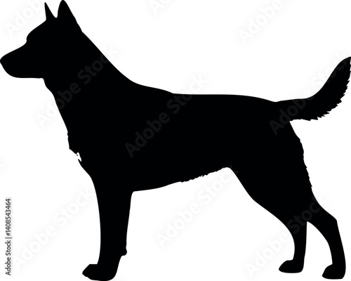 Cute dog posing on a white background. Friendly and loyal pet perfect for animal-related projects, pet care ads, veterinary services, dog training, companionship themes, and family lifestyle visuals.