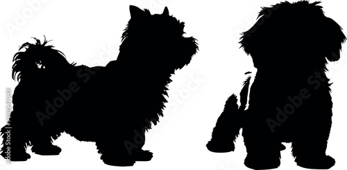 Cute dog posing on a white background. Friendly and loyal pet perfect for animal-related projects, pet care ads, veterinary services, dog training, companionship themes, and family lifestyle visuals.