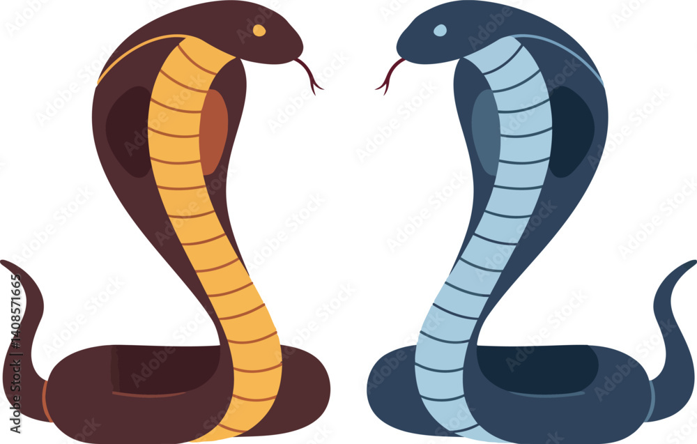 Fototapeta premium Two vibrant cobras in detailed flat design showcasing contrasting colors in vector art
