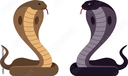 Two detailed cobras in a flat vector art style showcasing contrasting colors and poised postures
