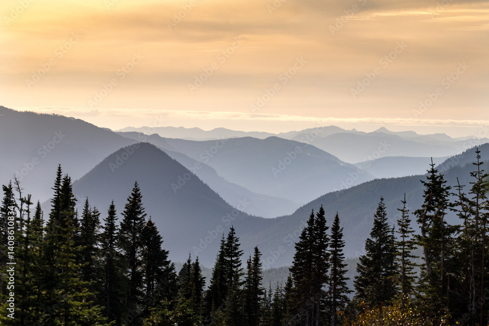Obraz premium Layered mountain ridges at sunset, framed by evergreen trees