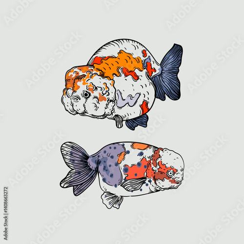 Beautiful Koki fish, goldfish hand drawing vector illustration. Asian animal symbol isolated on background. Design for tatto, decoration, art.