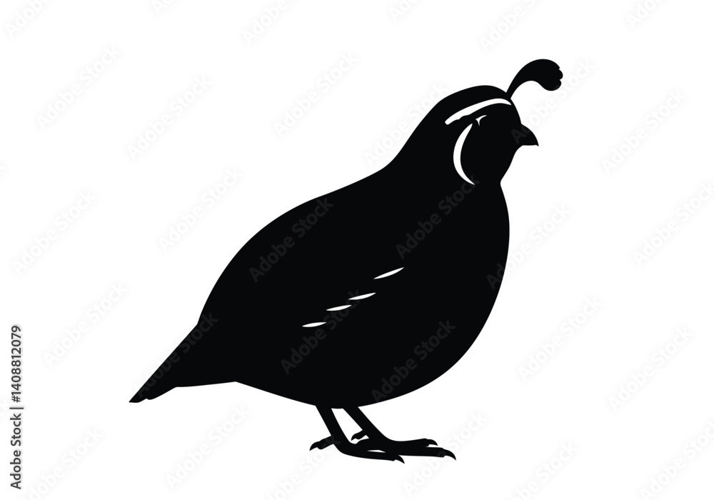 Fototapeta premium Quail silhouette. The image shows a black silhouette of a quail with distinct features like a crest, beak, and feathers. Vector clipart black illustration design.