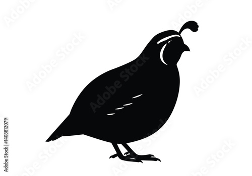 Quail silhouette. The image shows a black silhouette of a quail with distinct features like a crest, beak, and feathers. Vector clipart black illustration design.