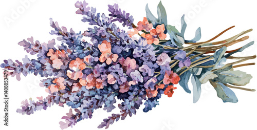 Watercolor illustration of lavender bouquet isolated on white background. Vector illustration