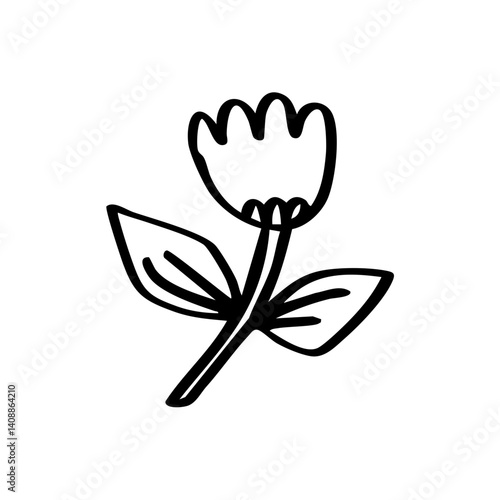 black and white tulip
