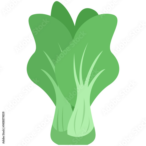 Bok Choy , pak Choi vegetables or sayur Pakcoy