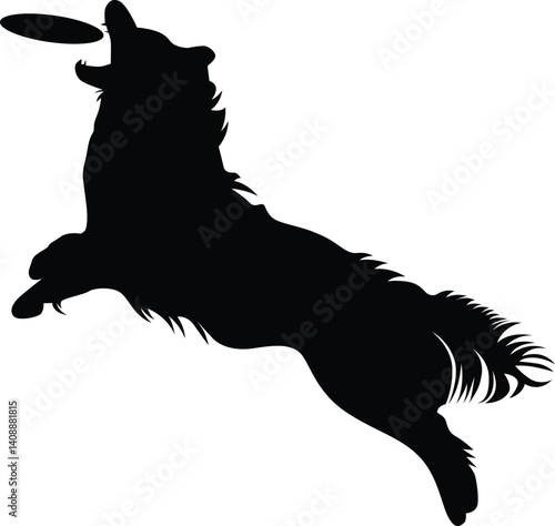 Dog catch frisbee silhouette of jumping pet, Puppy play with disc 
