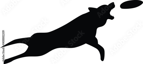 Dog catch frisbee silhouette of jumping pet, Puppy play with disc 