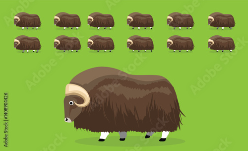 Animal Animation Musk Ox Walking Cartoon Vector Illustration
