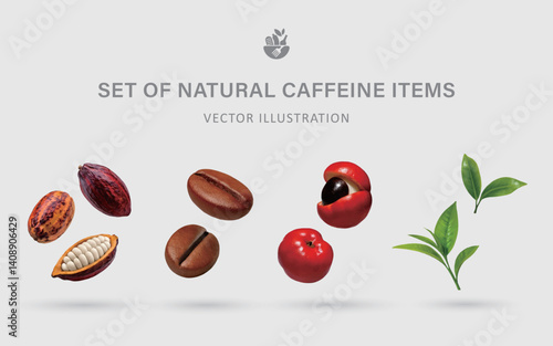 A Set of Natural Caffeine 3D Vector Items: Cacao Bean, Coffee Bean, Guarana, Tea