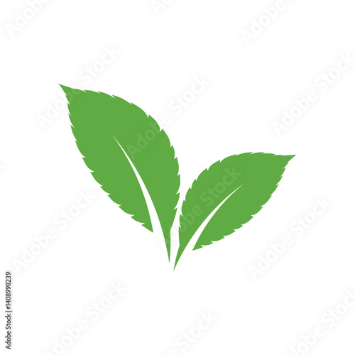 Mint leaf logo vector element template and symbol