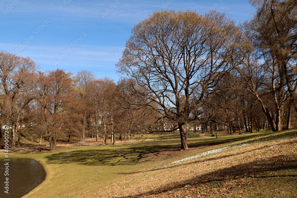 Park