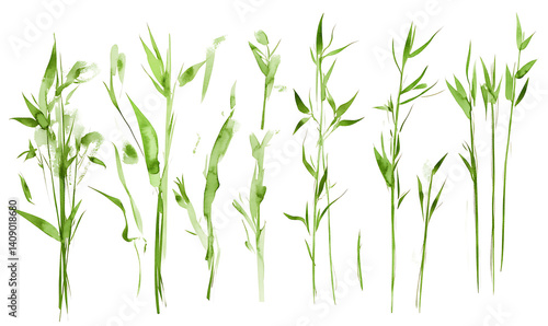 illustrations of various trees, leaves, grasses, and botanical elements on white background.