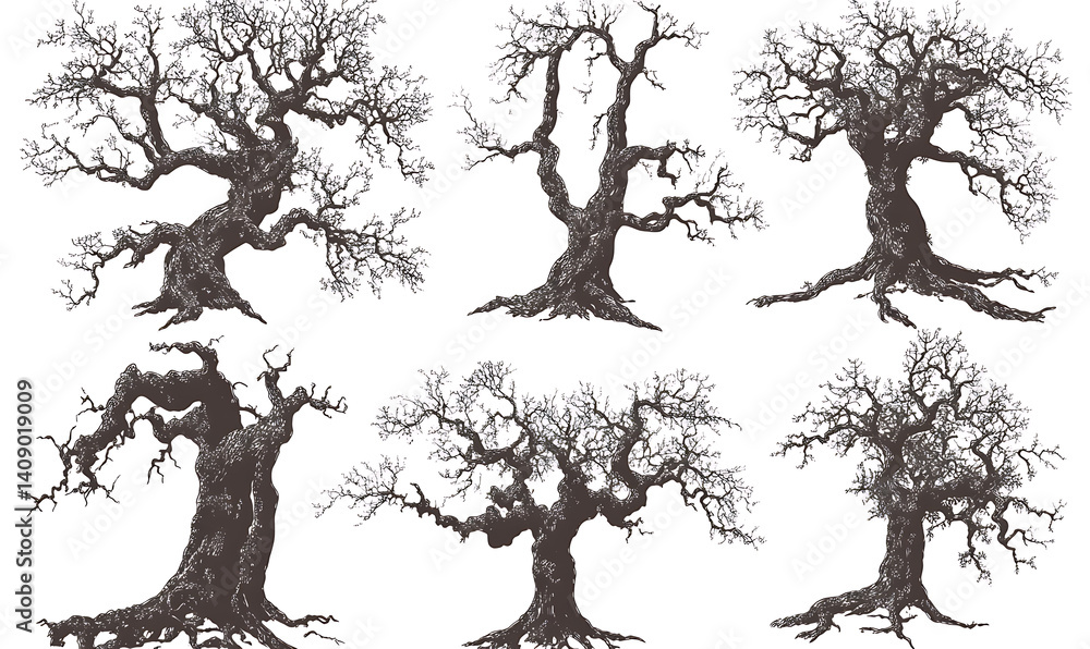 illustrations of various trees, leaves, grasses, and botanical elements on white background.