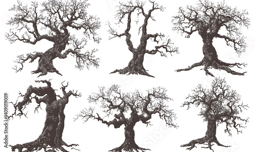 Obraz na płótnie illustrations of various trees, leaves, grasses, and botanical elements on white background. w salonie