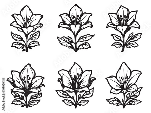 Turk’s Cap Lily line art