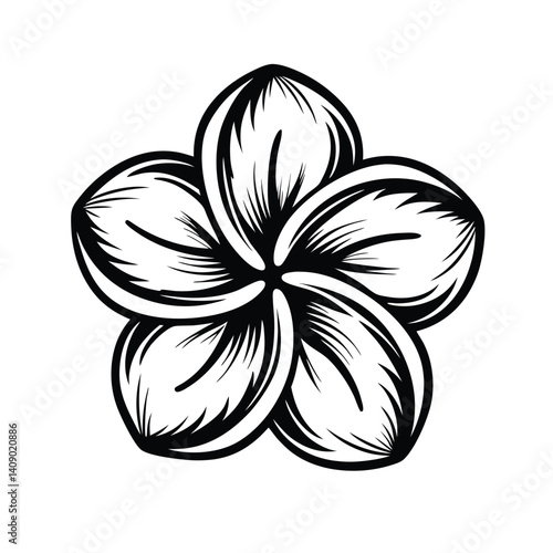 Stylized Plumeria Blossom, Black and White Floral Outline, Tropical Flower Icon Design