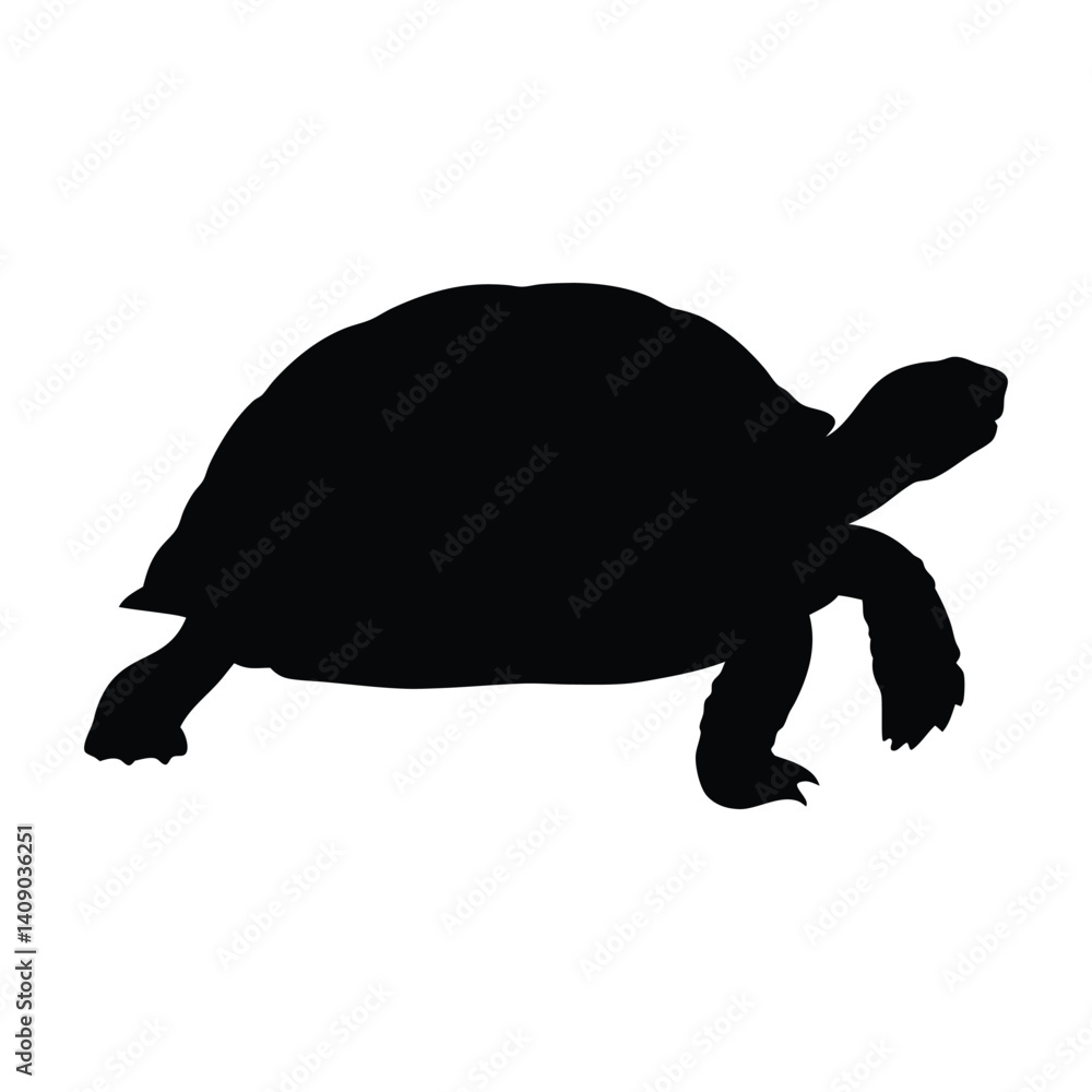 Turtle vector silhouette