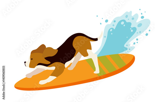 beagle dog surfing