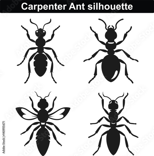 collection of insects set of black and white ants collection of insects, set of insects