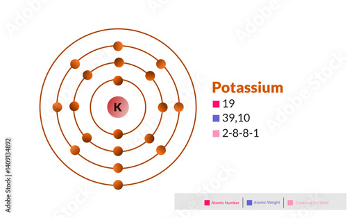 Bohr model of the Potassium atom. Electron structure of Potassium.