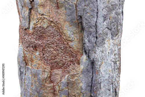 Obraz na płótnie Close-up view of an old rusted iron cannon with weathered and corroded surface details w salonie