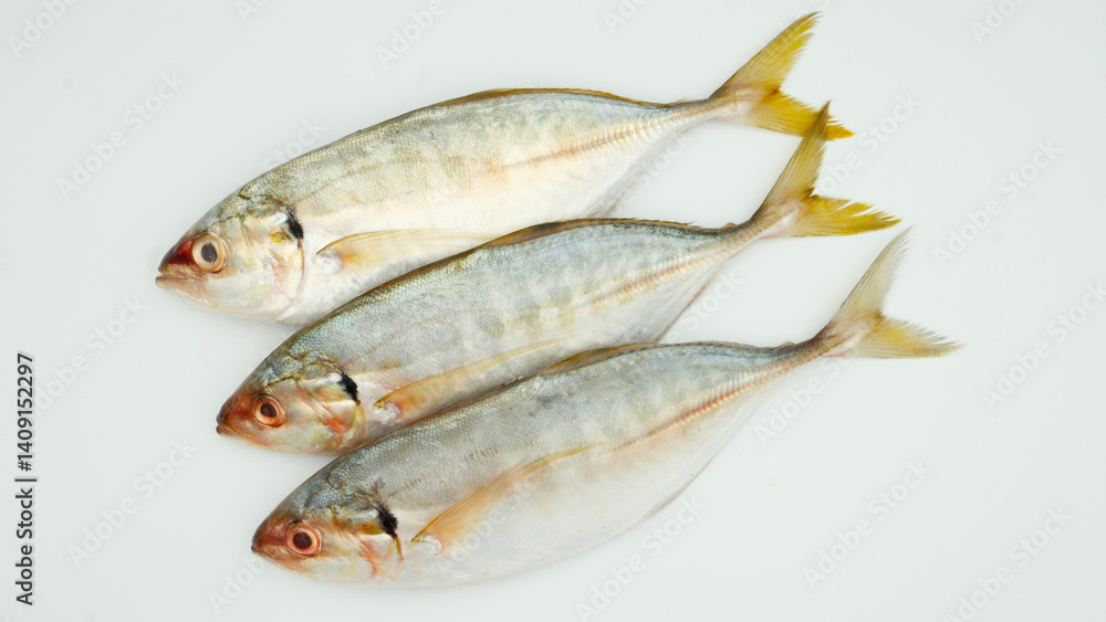 Fish yellowtail or ikan selar isolated on white background Fish yellowtail or ikan selar isolated on white background