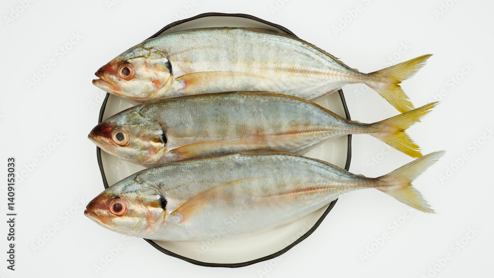 Fish yellowtail or ikan selar isolated on white background Fish yellowtail or ikan selar isolated on white background